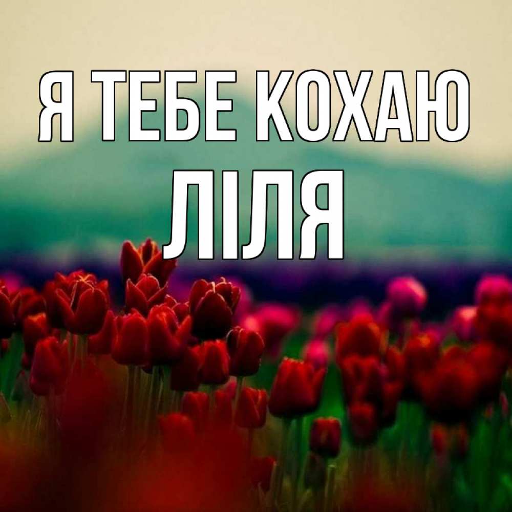 Открытка на каждый день з підписом, Ліля Я тебе кохаю тюльпаны 4 Прикольна листівка з побажанням онлайн скачати безкоштовно 