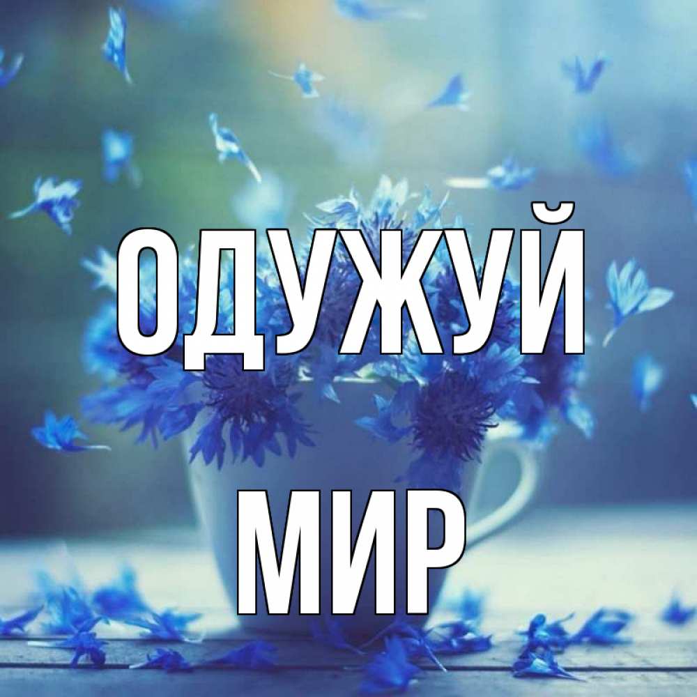 Открытка на каждый день з підписом, Мир Одужуй кружка с зельем и цветами Прикольна листівка з побажанням онлайн скачати безкоштовно 