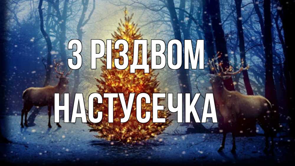 Открытка на каждый день з підписом, Настусечка З Різдвом олени, новогодняя елка Прикольна листівка з побажанням онлайн скачати безкоштовно 