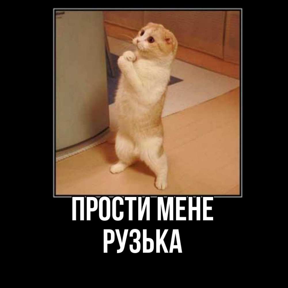 Открытка на каждый день з підписом, Рузька Прости мене открытка с милым несчастным котиком просящим прощения Прикольна листівка з побажанням онлайн скачати безкоштовно 