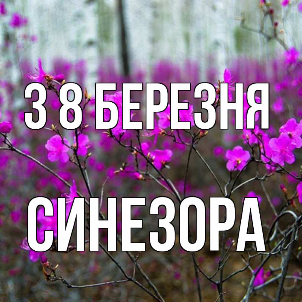 Открытка на каждый день з підписом, Синезора З 8 БЕРЕЗНЯ дикие цветы Прикольна листівка з побажанням онлайн скачати безкоштовно 