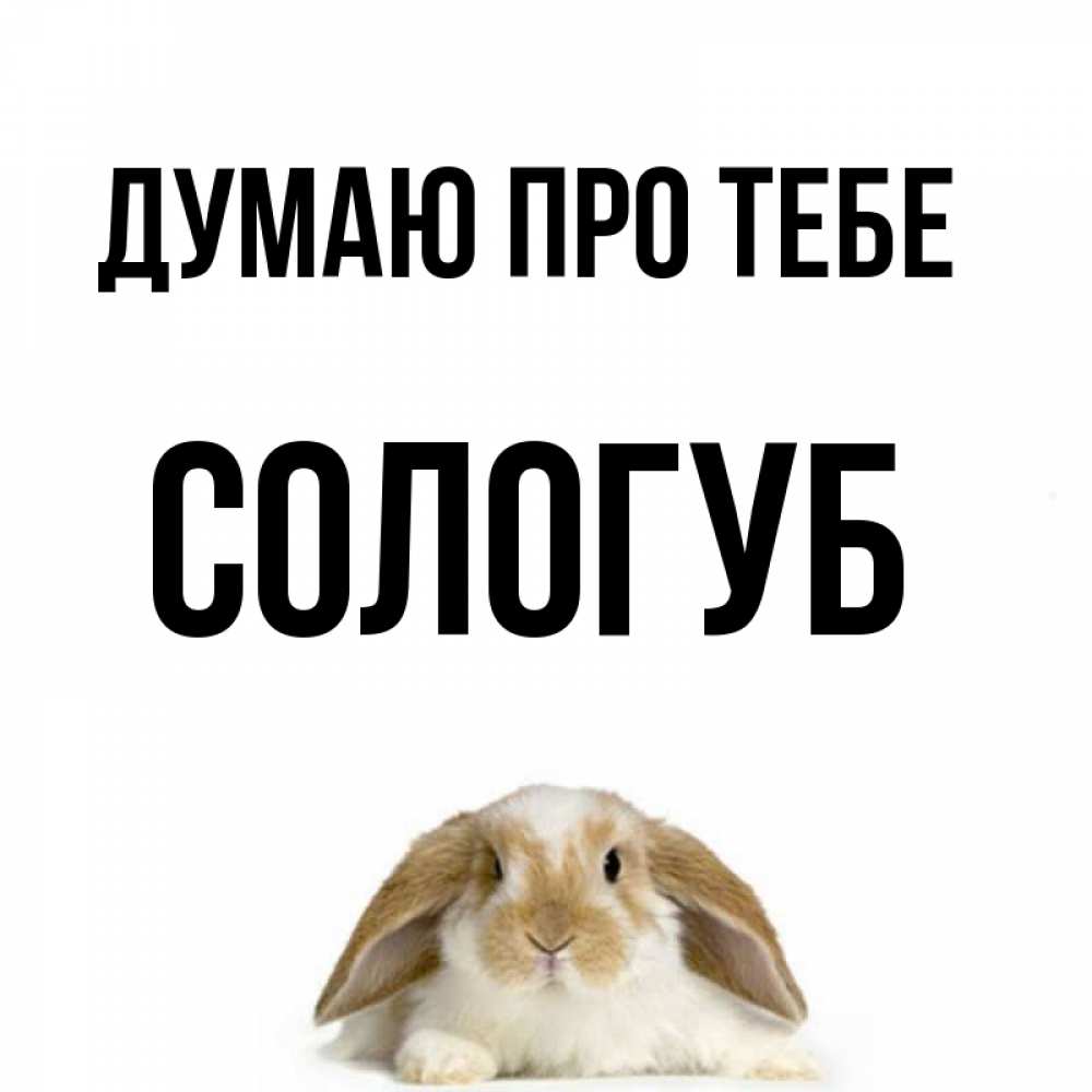 Открытка на каждый день з підписом, Сологуб Думаю про тебе подписать своими руками онлайн Прикольна листівка з побажанням онлайн скачати безкоштовно 