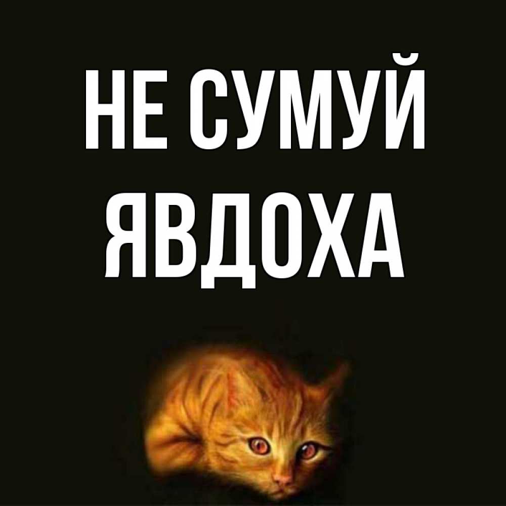 Открытка на каждый день з підписом, Явдоха Не сумуй лежащий кот в темноте Прикольна листівка з побажанням онлайн скачати безкоштовно 