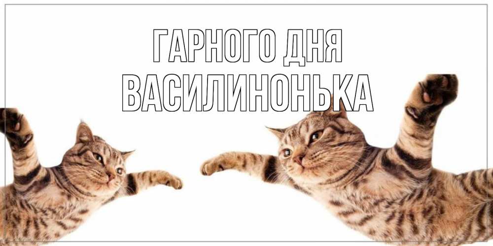 Открытка на каждый день з підписом, Василинонька Гарного дня хорошего дня Прикольна листівка з побажанням онлайн скачати безкоштовно 