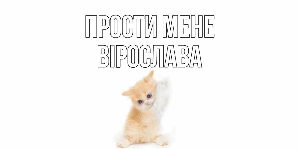 Открытка на каждый день з підписом, Вірослава Прости мене кот Прикольна листівка з побажанням онлайн скачати безкоштовно 