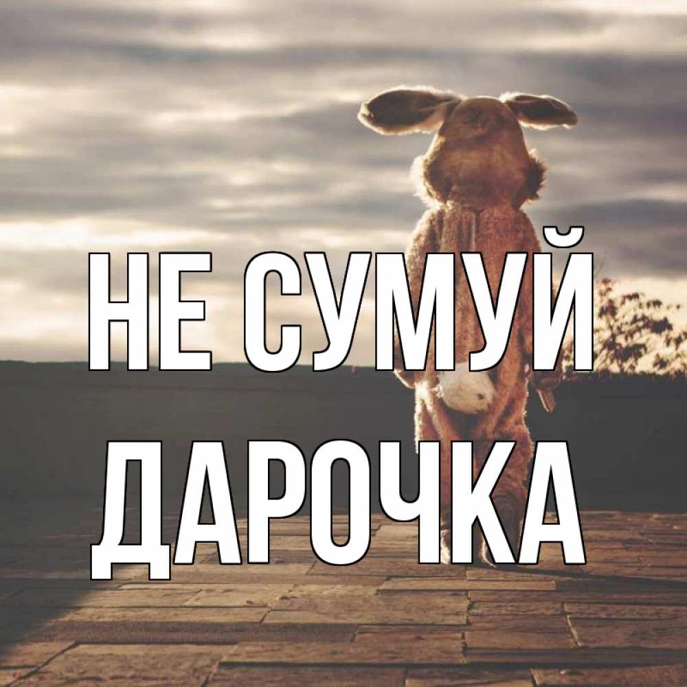 Открытка на каждый день з підписом, Дарочка Не сумуй со спины Прикольна листівка з побажанням онлайн скачати безкоштовно 