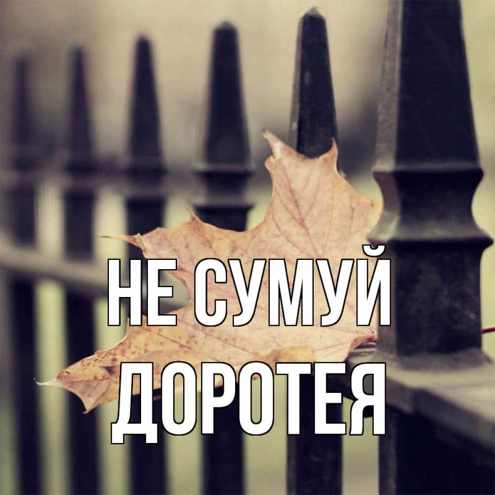 Открытка на каждый день з підписом, Доротея Не сумуй лист клена Прикольна листівка з побажанням онлайн скачати безкоштовно 