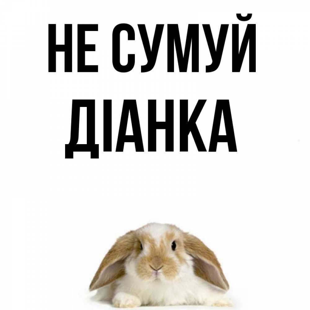 Открытка на каждый день з підписом, Діанка Не сумуй коричнево белый заяц с большими ушками Прикольна листівка з побажанням онлайн скачати безкоштовно 