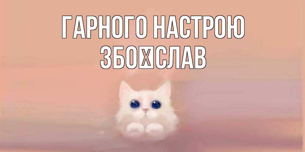 Открытка на каждый день з підписом, Збоїслав Гарного настрою кошка Прикольна листівка з побажанням онлайн скачати безкоштовно 