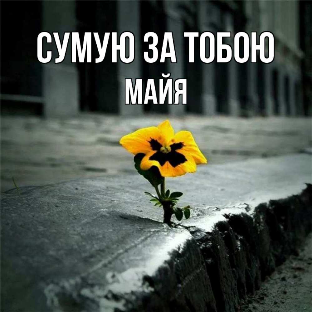 Открытка на каждый день з підписом, Майя Сумую за тобою надеюсь будет лучше Прикольна листівка з побажанням онлайн скачати безкоштовно 