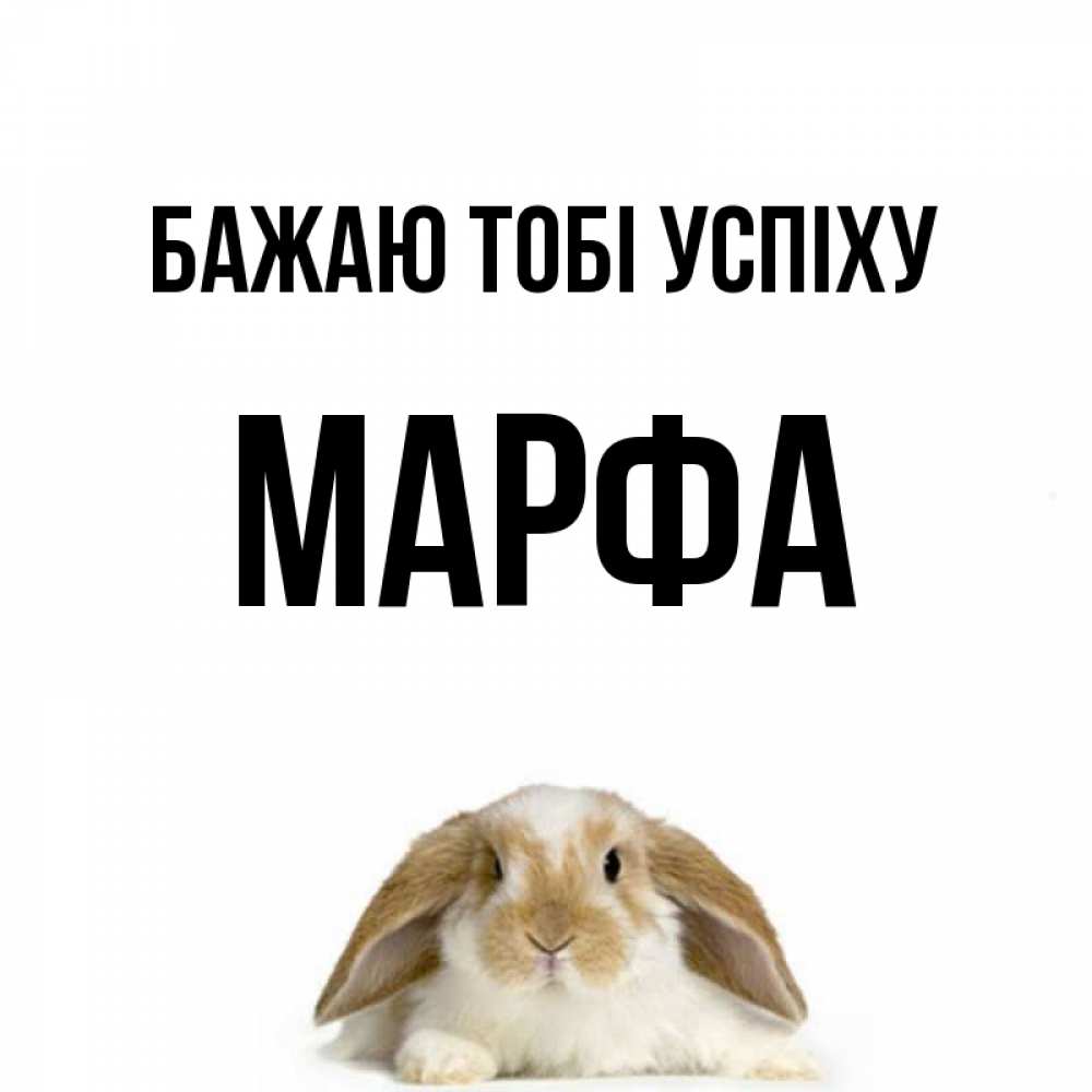 Открытка на каждый день з підписом, Марфа Бажаю тобі успіху открытки с произвольным текстом который можно вставить в открытку и создать ее самостоятельно бесплатно онлайн Прикольна листівка з побажанням онлайн скачати безкоштовно 
