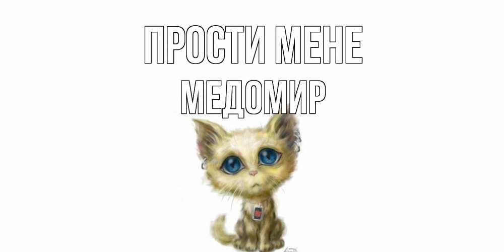 Открытка на каждый день з підписом, Медомир Прости мене прости меня открытка с котиком Прикольна листівка з побажанням онлайн скачати безкоштовно 
