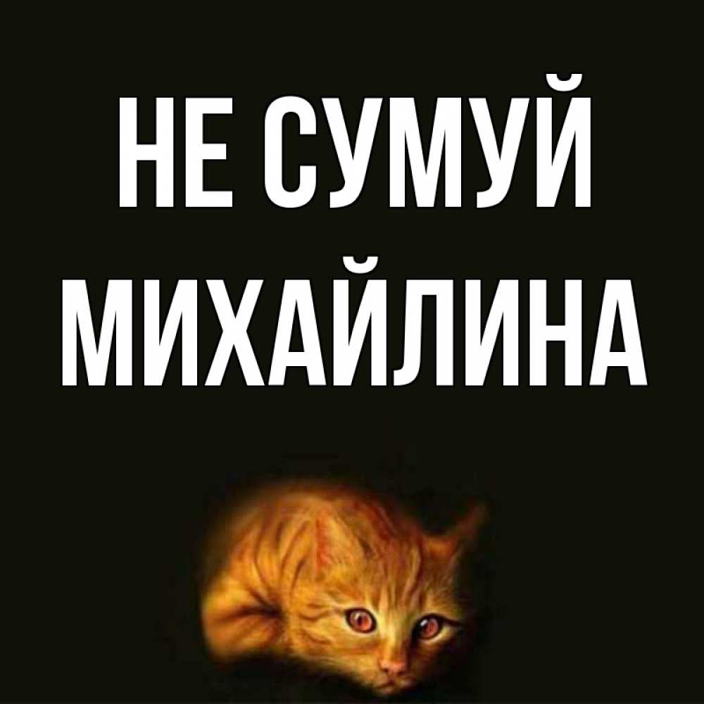 Открытка на каждый день з підписом, Михайлина Не сумуй лежащий кот в темноте Прикольна листівка з побажанням онлайн скачати безкоштовно 