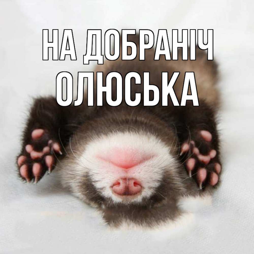 Открытка на каждый день з підписом, Олюська На добраніч зверек Прикольна листівка з побажанням онлайн скачати безкоштовно 