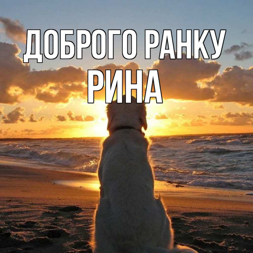Открытка на каждый день з підписом, Рина Доброго ранку восход солнца Прикольна листівка з побажанням онлайн скачати безкоштовно 