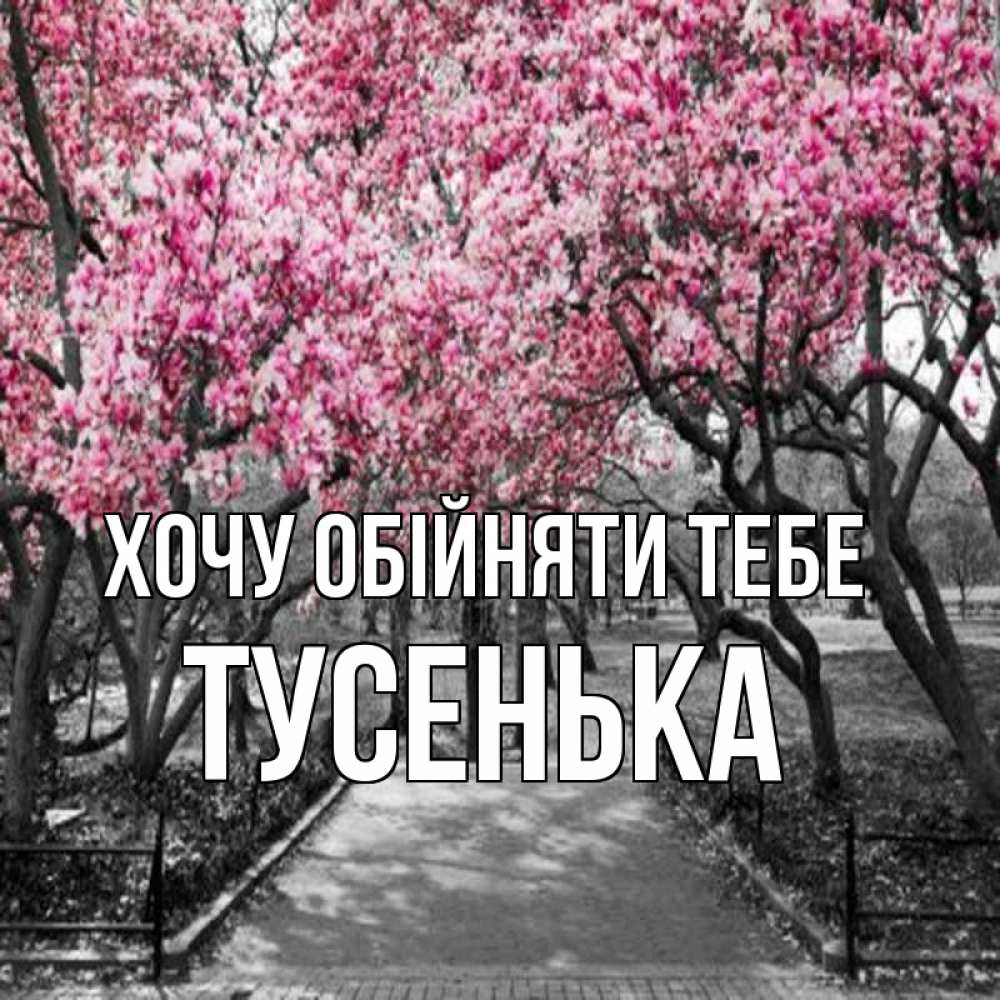 Открытка на каждый день з підписом, Тусенька Хочу обійняти тебе обработанное фото Прикольна листівка з побажанням онлайн скачати безкоштовно 