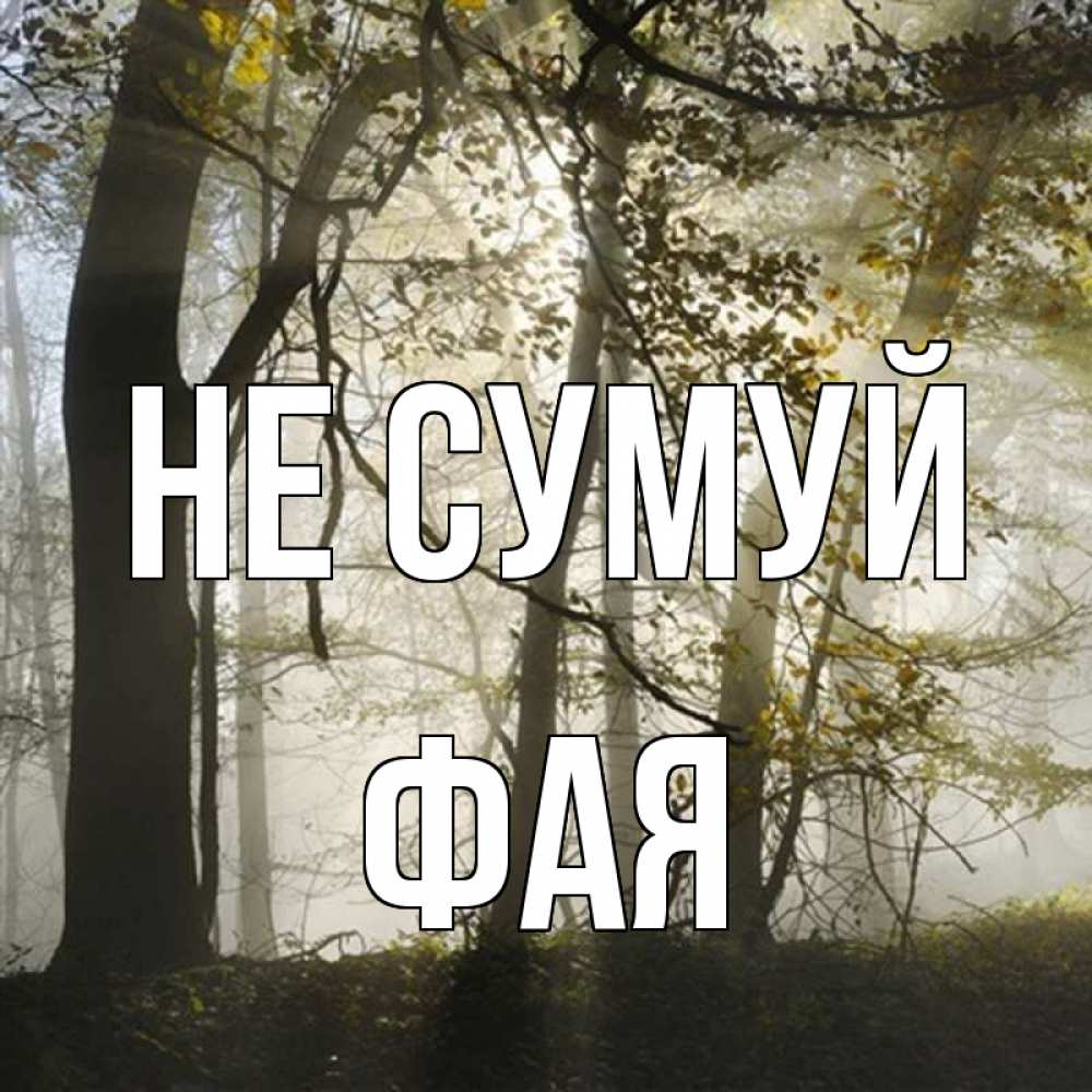 Открытка на каждый день з підписом, Фая Не сумуй лес и свет Прикольна листівка з побажанням онлайн скачати безкоштовно 