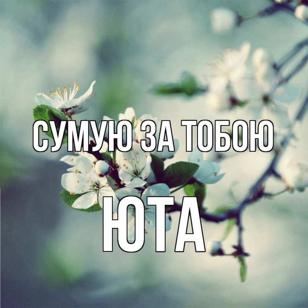 Открытка на каждый день з підписом, Юта Сумую за тобою весна Прикольна листівка з побажанням онлайн скачати безкоштовно 