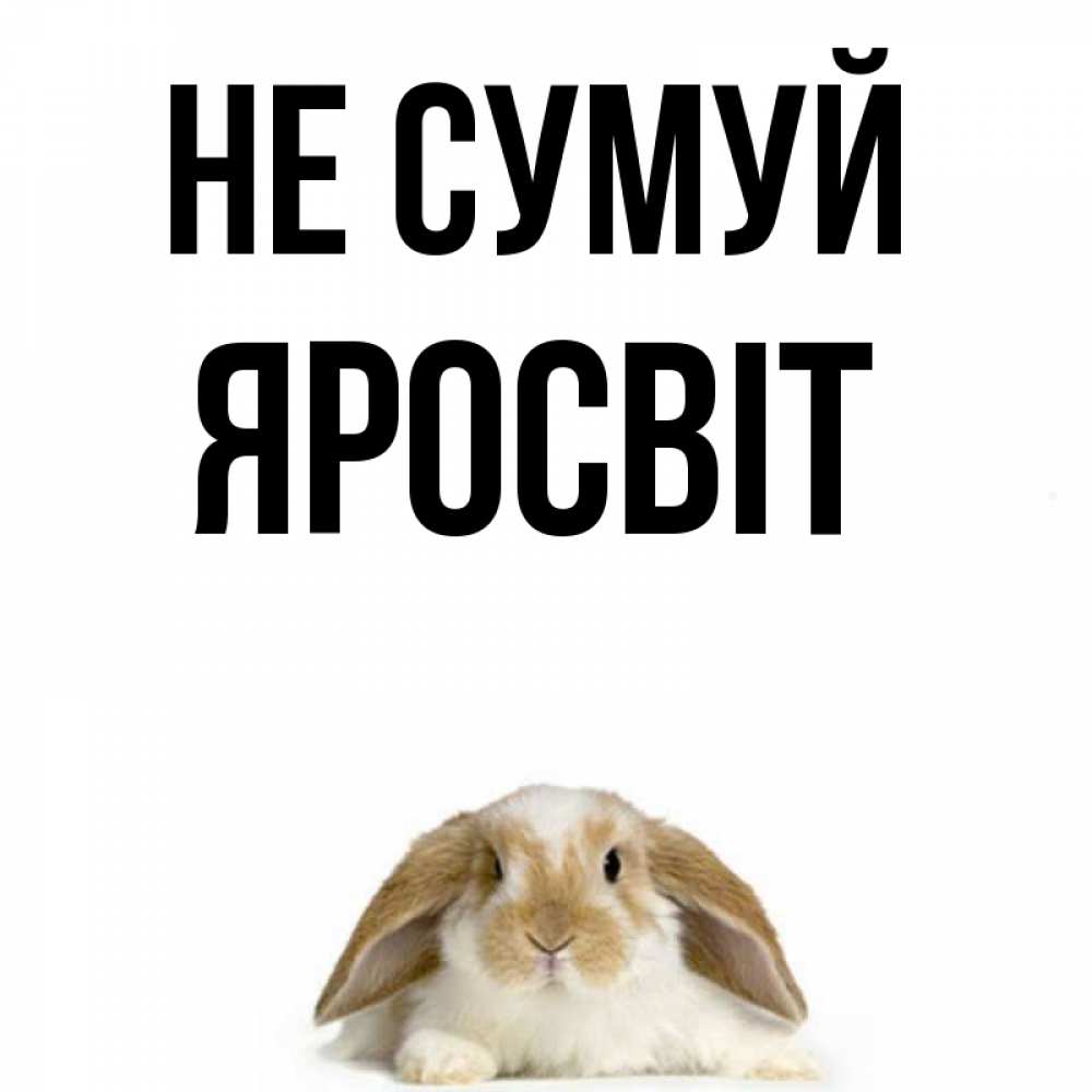 Открытка на каждый день з підписом, Яросвіт Не сумуй коричнево белый заяц с большими ушками Прикольна листівка з побажанням онлайн скачати безкоштовно 