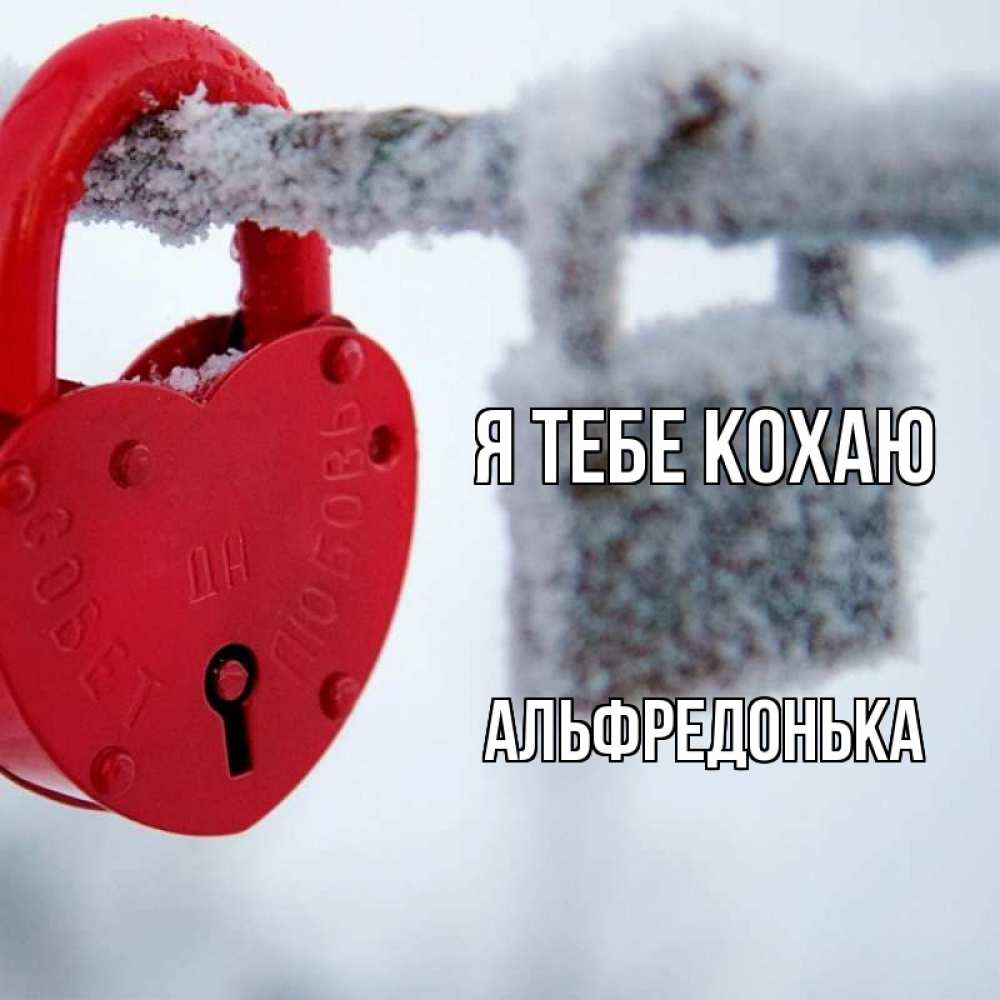 Открытка на каждый день з підписом, Альфредонька Я тебе кохаю любви Прикольна листівка з побажанням онлайн скачати безкоштовно 
