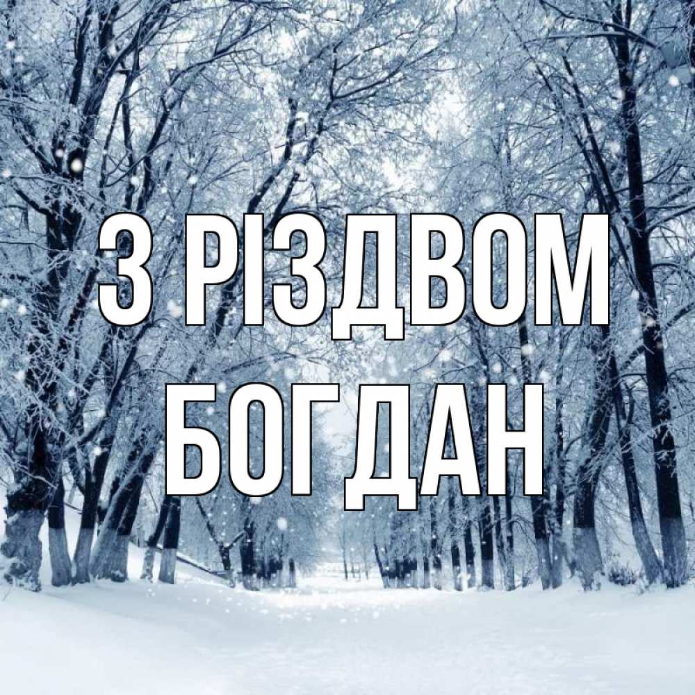 Открытка на каждый день з підписом, Богдан З Різдвом снег, лес, парк Прикольна листівка з побажанням онлайн скачати безкоштовно 