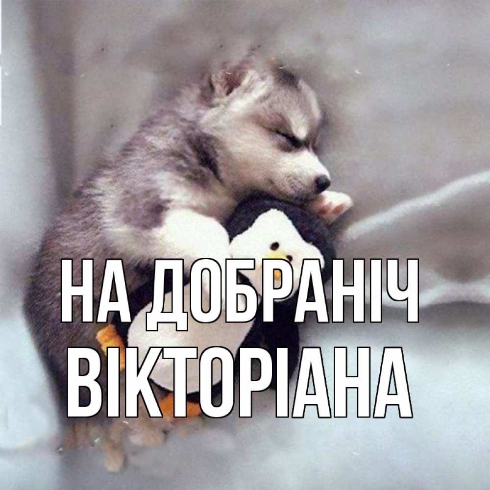 Открытка на каждый день з підписом, Вікторіана На добраніч обнимашки щенка и пингвина Прикольна листівка з побажанням онлайн скачати безкоштовно 