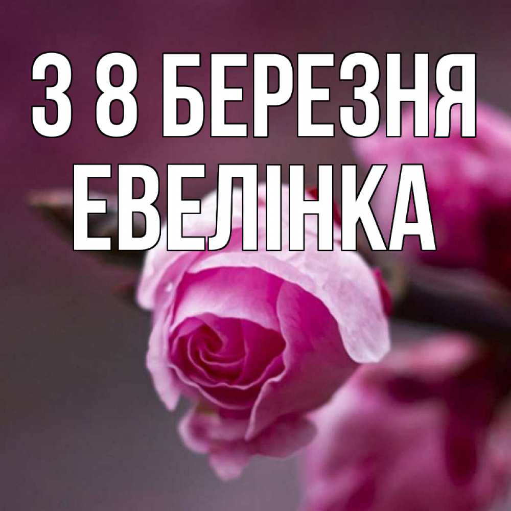 Открытка на каждый день з підписом, Евелінка З 8 БЕРЕЗНЯ весна Прикольна листівка з побажанням онлайн скачати безкоштовно 