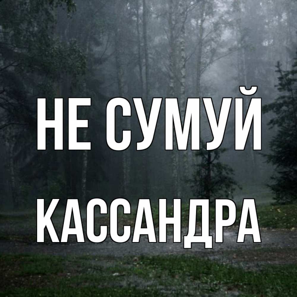 Открытка на каждый день з підписом, Кассандра Не сумуй осень Прикольна листівка з побажанням онлайн скачати безкоштовно 