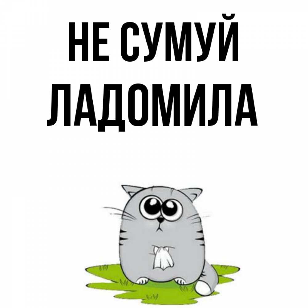 Открытка на каждый день з підписом, Ладомила Не сумуй грустный котяра Прикольна листівка з побажанням онлайн скачати безкоштовно 