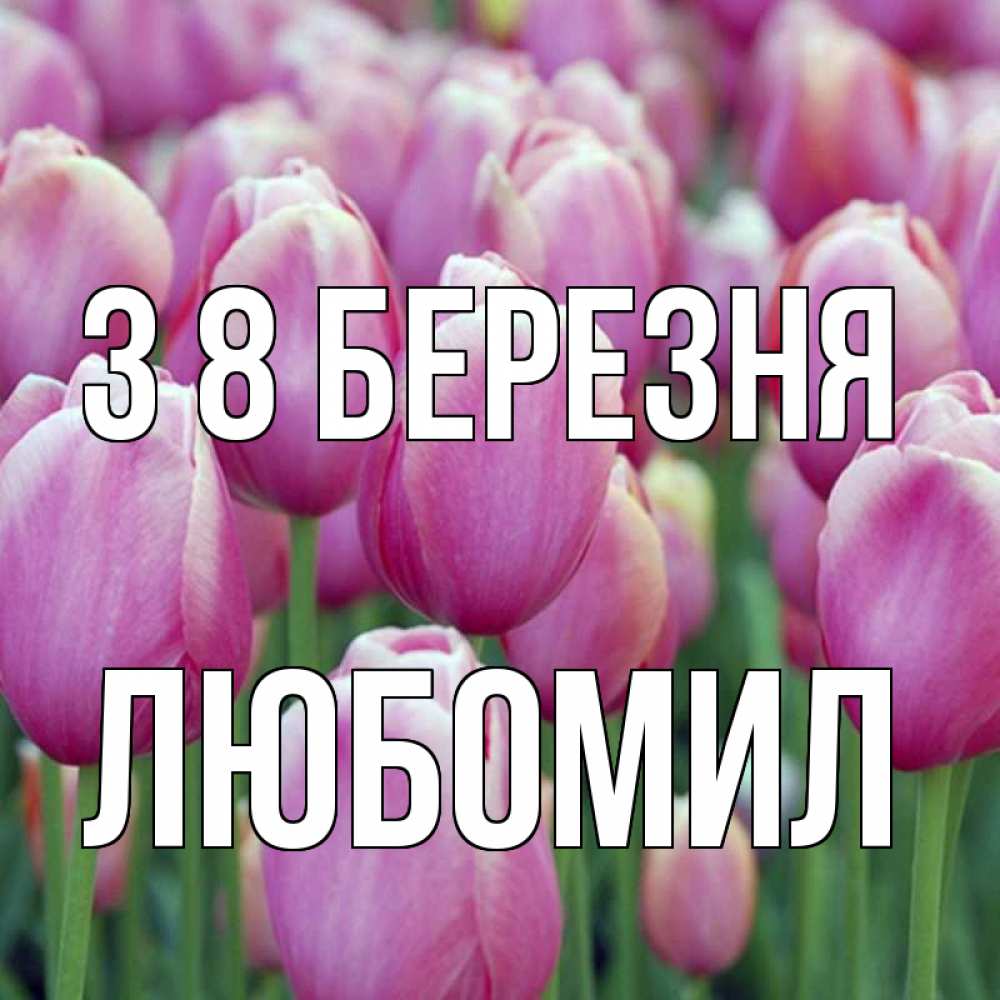 Открытка на каждый день з підписом, Любомил З 8 БЕРЕЗНЯ на международный женский день 3 Прикольна листівка з побажанням онлайн скачати безкоштовно 