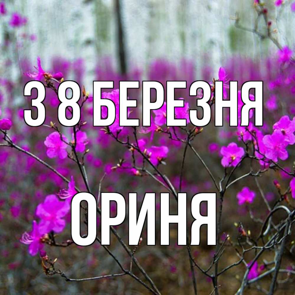 Открытка на каждый день з підписом, Ориня З 8 БЕРЕЗНЯ дикие цветы Прикольна листівка з побажанням онлайн скачати безкоштовно 
