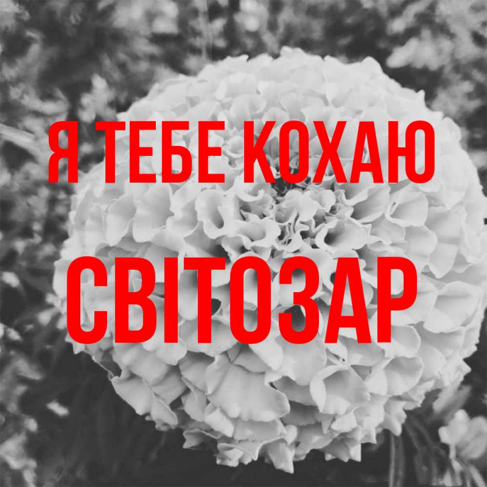Открытка на каждый день з підписом, Світозар Я тебе кохаю подпись Прикольна листівка з побажанням онлайн скачати безкоштовно 