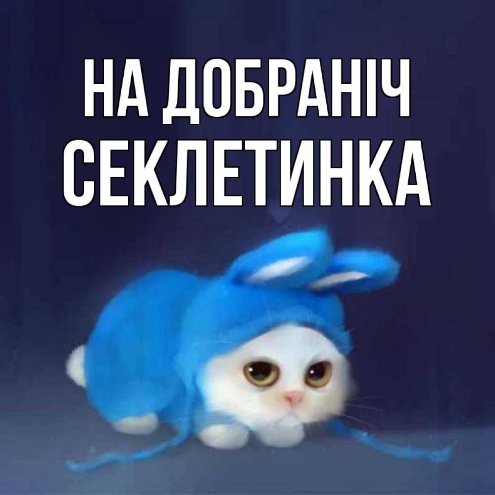 Открытка на каждый день з підписом, Секлетинка На добраніч кот в голубом костюме кролика с ушками Прикольна листівка з побажанням онлайн скачати безкоштовно 