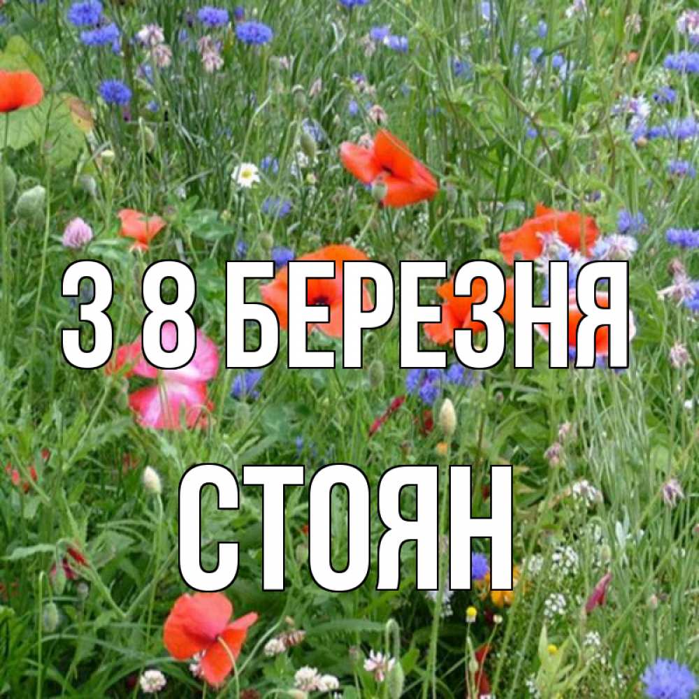 Открытка на каждый день з підписом, Стоян З 8 БЕРЕЗНЯ международный женский день 4 Прикольна листівка з побажанням онлайн скачати безкоштовно 