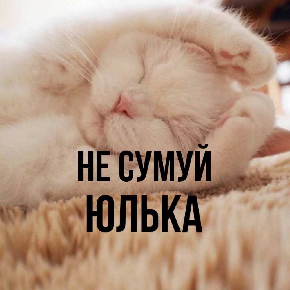 Открытка на каждый день з підписом, Юлька Не сумуй Котенок спит Прикольна листівка з побажанням онлайн скачати безкоштовно 