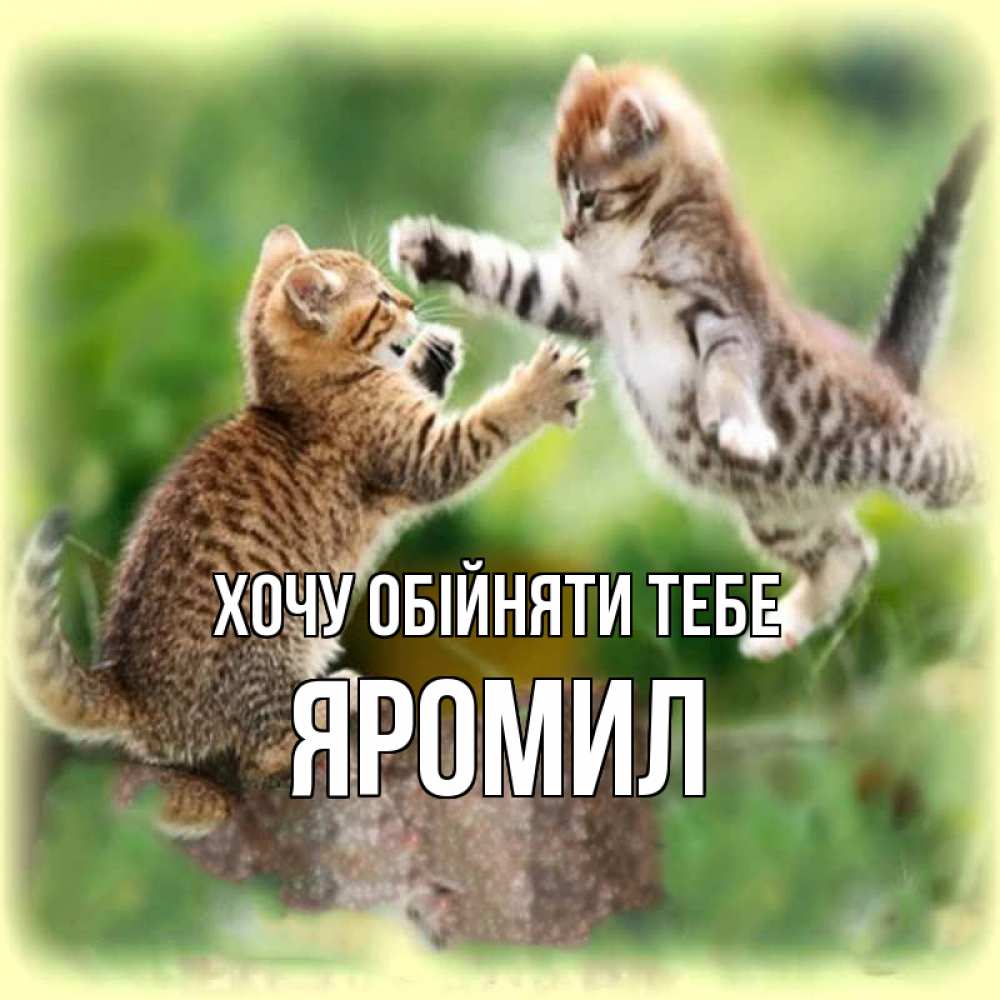 Открытка на каждый день з підписом, Яромил Хочу обійняти тебе игры котят Прикольна листівка з побажанням онлайн скачати безкоштовно 