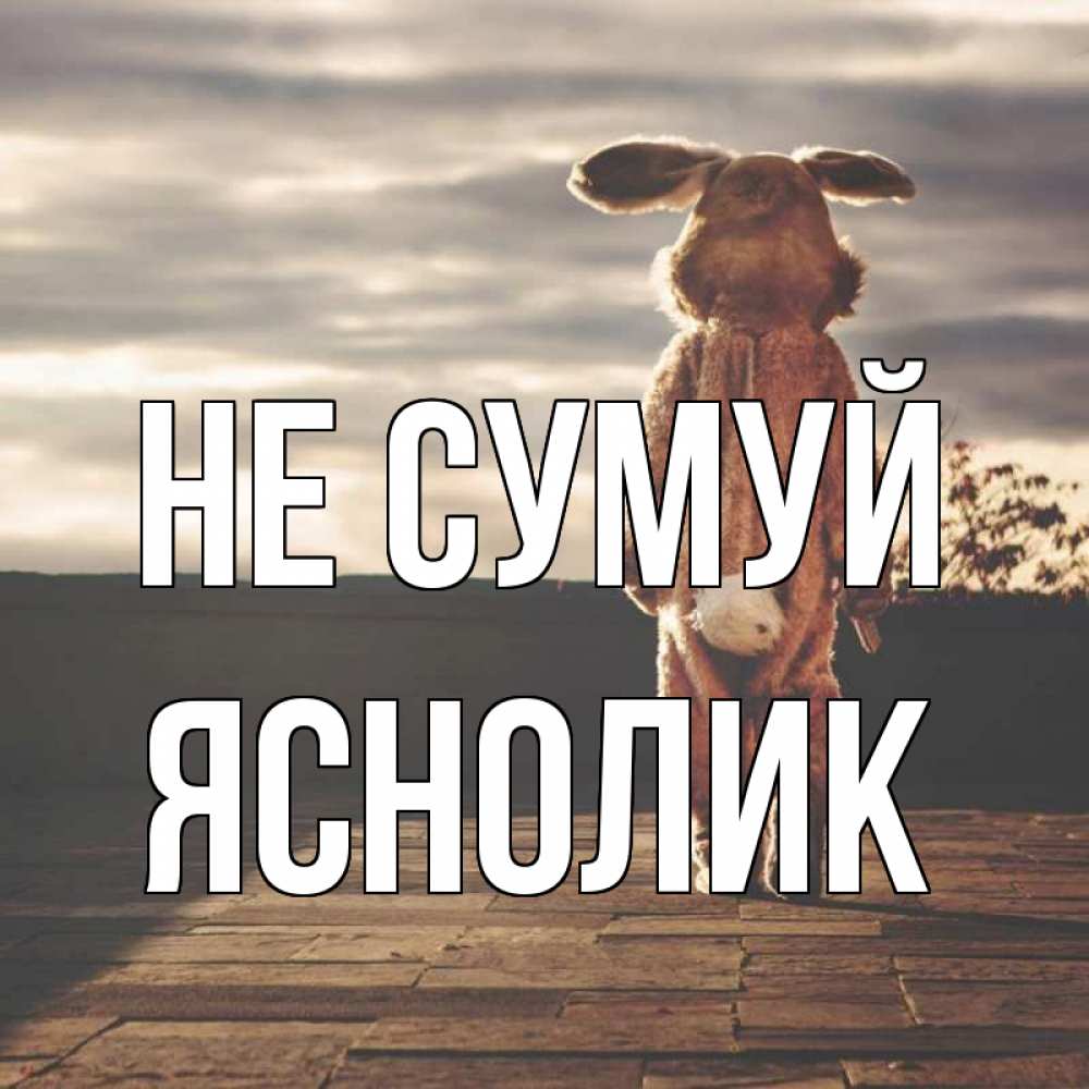 Открытка на каждый день з підписом, Яснолик Не сумуй со спины Прикольна листівка з побажанням онлайн скачати безкоштовно 