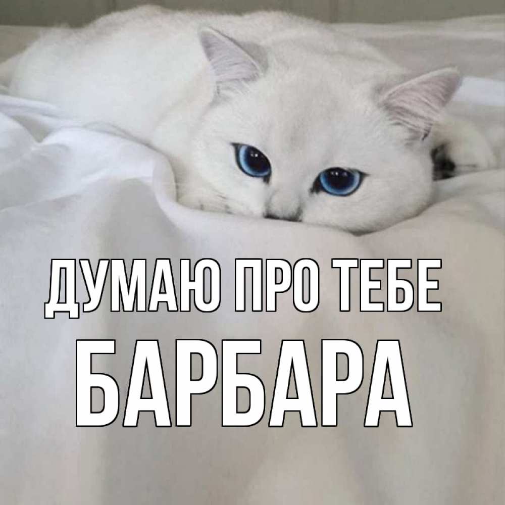 Открытка на каждый день з підписом, Барбара Думаю про тебе я очень по тебе скучаю и тоскую Прикольна листівка з побажанням онлайн скачати безкоштовно 