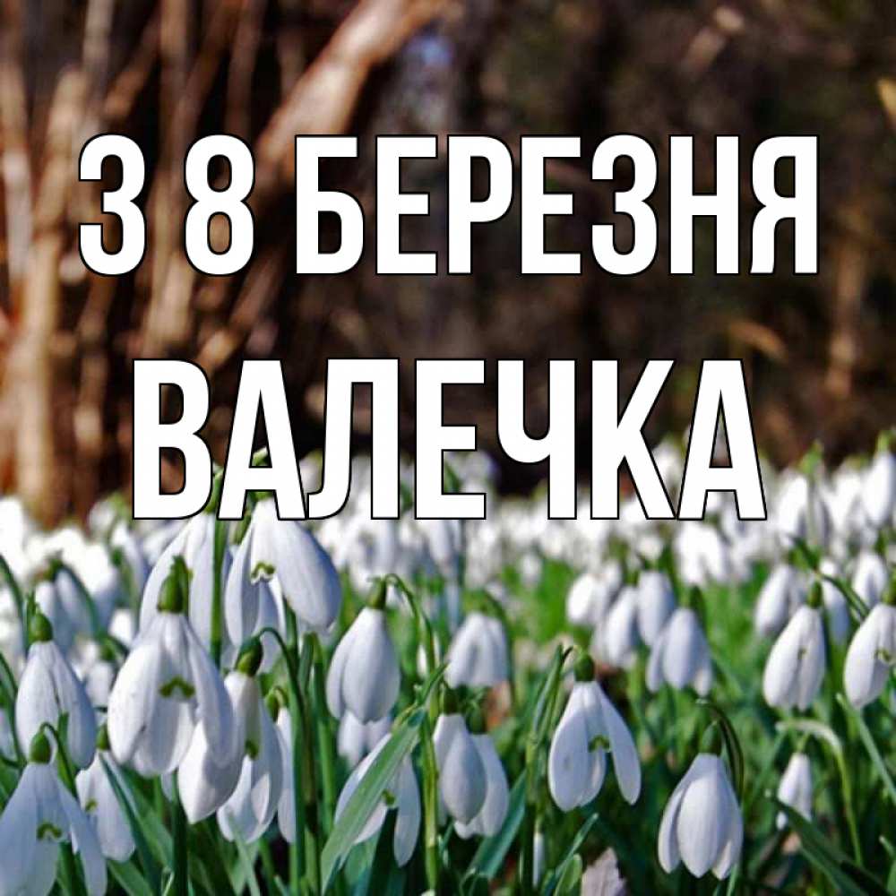 Открытка на каждый день з підписом, Валечка З 8 БЕРЕЗНЯ с подснежниками 1 Прикольна листівка з побажанням онлайн скачати безкоштовно 