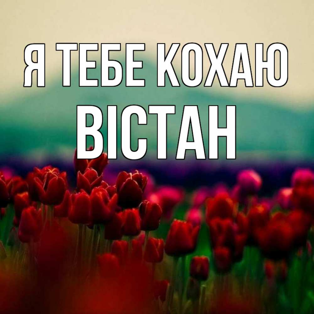 Открытка на каждый день з підписом, Вістан Я тебе кохаю тюльпаны 4 Прикольна листівка з побажанням онлайн скачати безкоштовно 