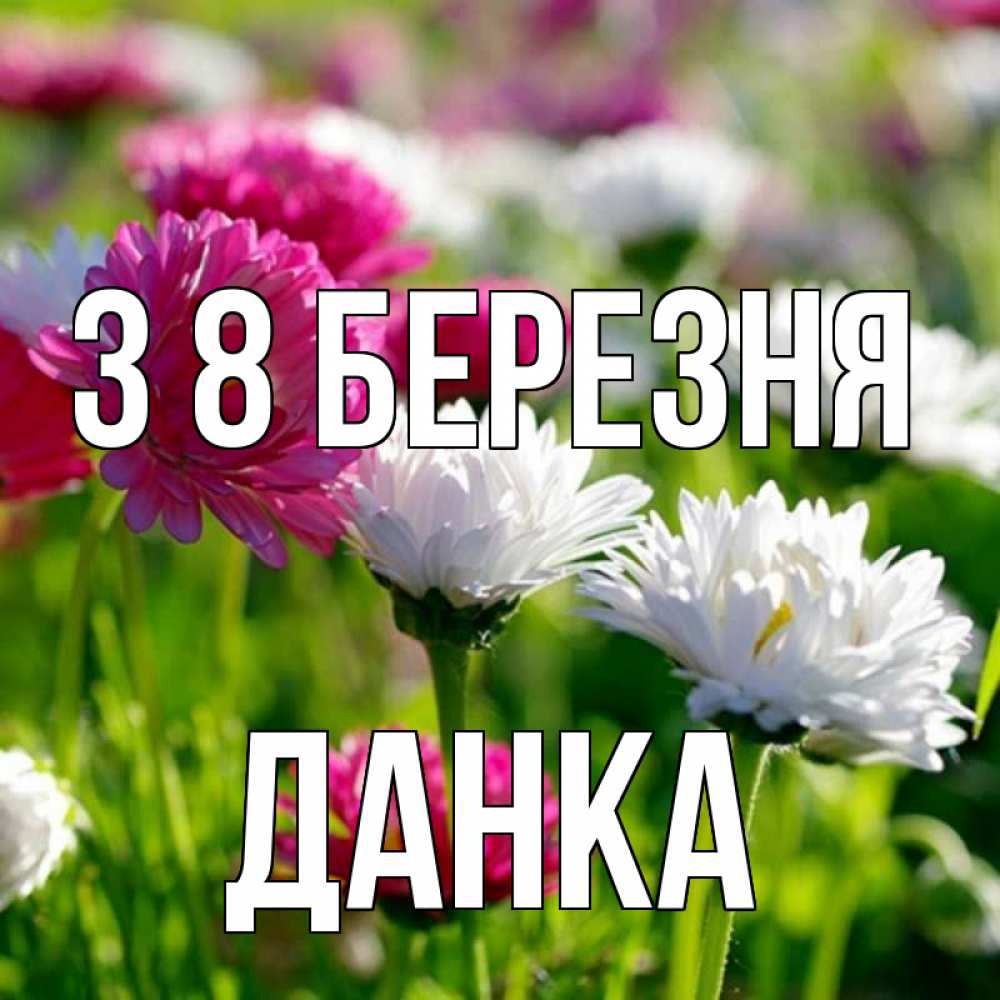 Открытка на каждый день з підписом, Данка З 8 БЕРЕЗНЯ международный женский день 1 Прикольна листівка з побажанням онлайн скачати безкоштовно 