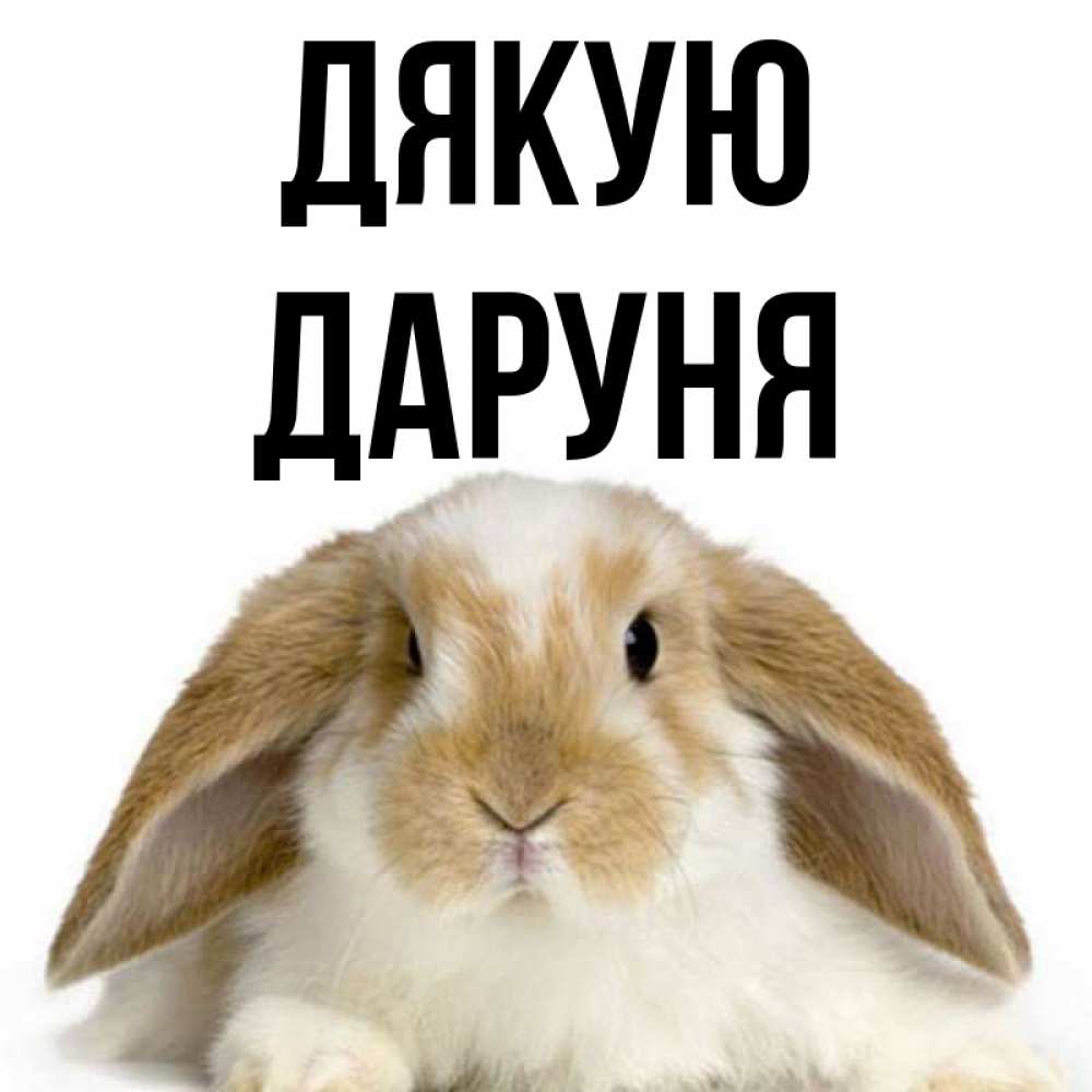 Открытка на каждый день з підписом, Даруня Дякую коричнево белый заяц Прикольна листівка з побажанням онлайн скачати безкоштовно 