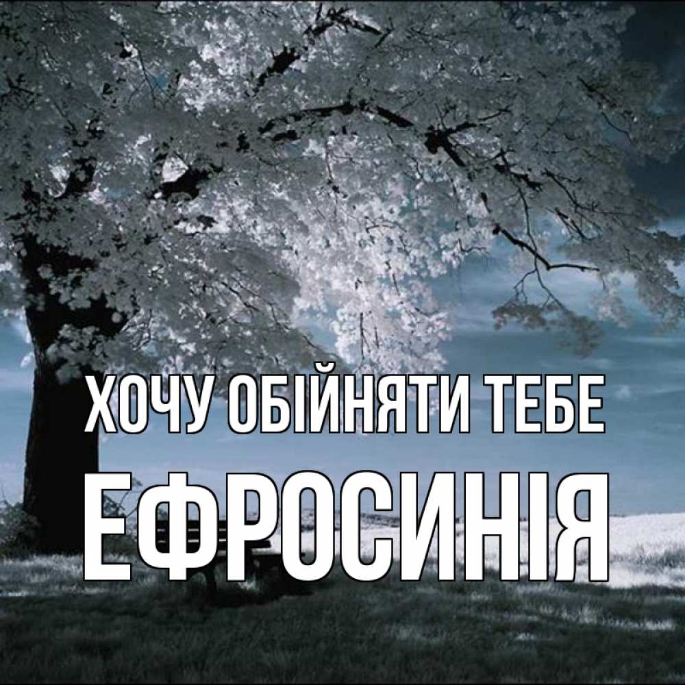 Открытка на каждый день з підписом, Ефросинія Хочу обійняти тебе дерево Прикольна листівка з побажанням онлайн скачати безкоштовно 
