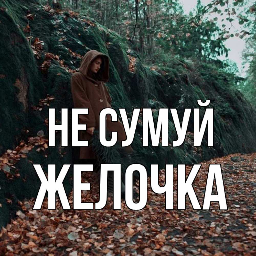 Открытка на каждый день з підписом, Желочка Не сумуй осенний лес Прикольна листівка з побажанням онлайн скачати безкоштовно 