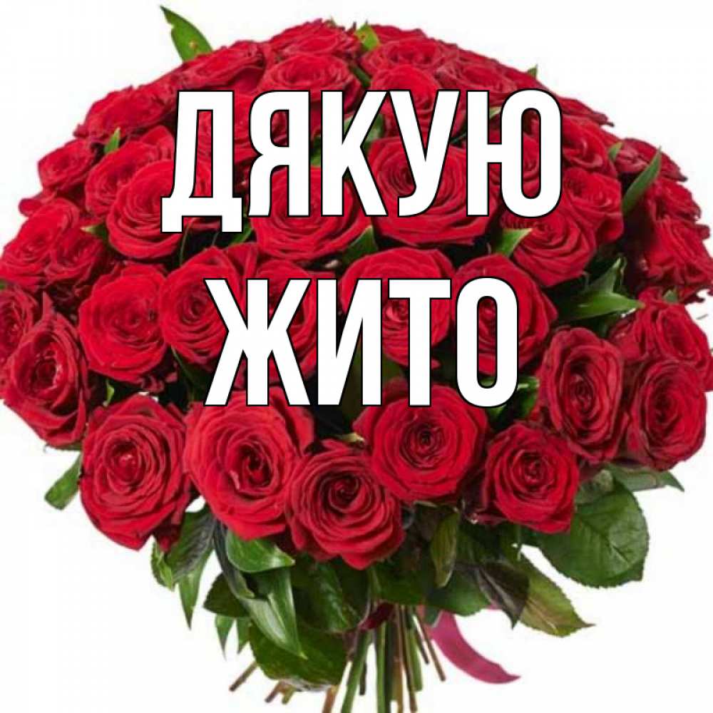 Открытка на каждый день з підписом, Жито Дякую букет красных роз Прикольна листівка з побажанням онлайн скачати безкоштовно 