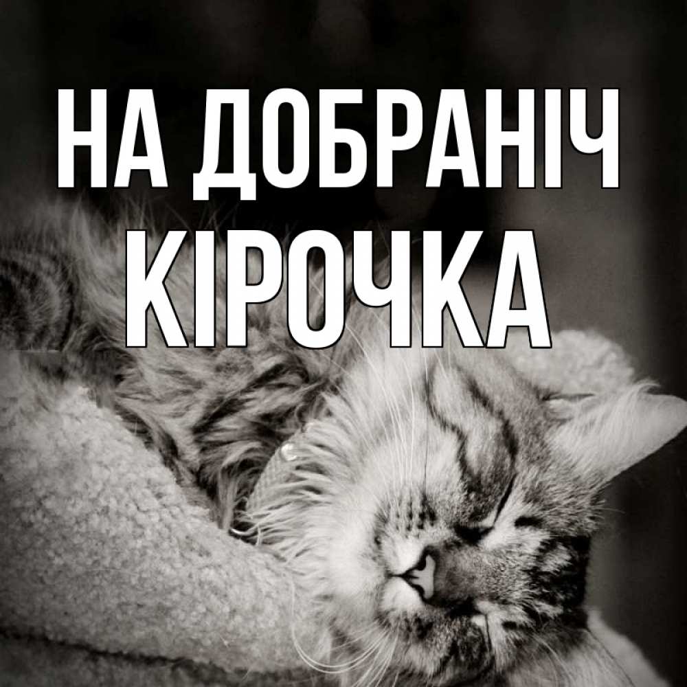 Открытка на каждый день з підписом, Кірочка На добраніч котярик пушистый Прикольна листівка з побажанням онлайн скачати безкоштовно 