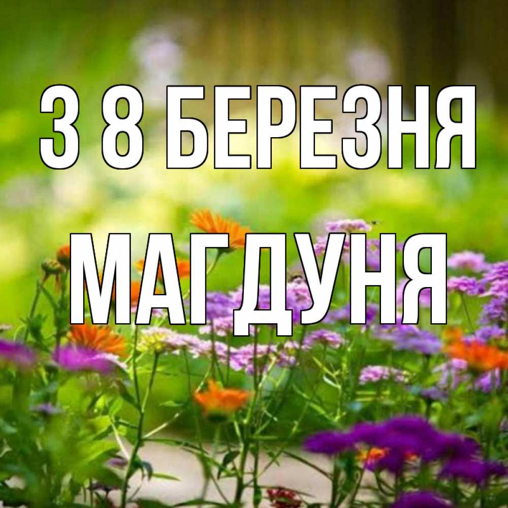 Открытка на каждый день з підписом, Магдуня З 8 БЕРЕЗНЯ цветы Прикольна листівка з побажанням онлайн скачати безкоштовно 