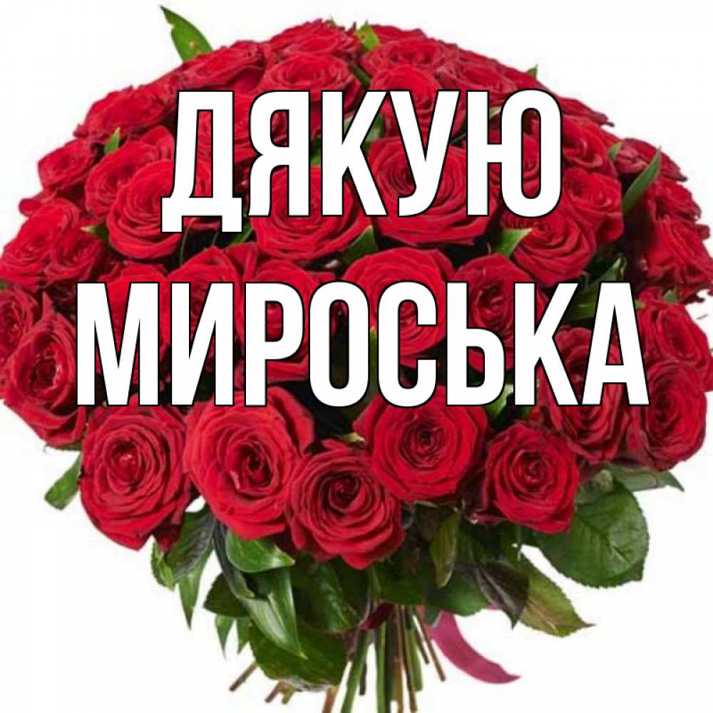 Открытка на каждый день з підписом, Мироська Дякую букет красных роз Прикольна листівка з побажанням онлайн скачати безкоштовно 