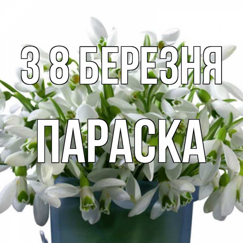 Открытка на каждый день з підписом, Параска З 8 БЕРЕЗНЯ цветы к международному женскому дню Прикольна листівка з побажанням онлайн скачати безкоштовно 