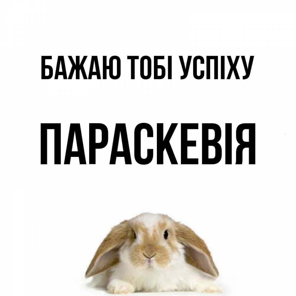 Открытка на каждый день з підписом, Параскевія Бажаю тобі успіху открытки с произвольным текстом который можно вставить в открытку и создать ее самостоятельно бесплатно онлайн Прикольна листівка з побажанням онлайн скачати безкоштовно 